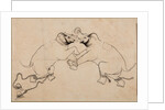 Two Elephants in Combat, early 1700s by Unknown