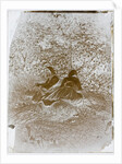 Two Peasant Girls Seated, 1870s by Auguste Giraudon's Artist
