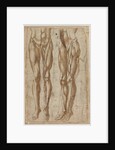 Two Studies of a Flayed Man, 1554 by Bartolommeo da Arezzo
