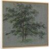 Two Trees Tree Studies, first half 1800s by Johann Jacob Dorner
