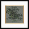 Two Trees Tree Studies, first half 1800s by Johann Jacob Dorner