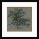 Two Trees Tree Studies, first half 1800s by Johann Jacob Dorner