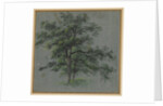 Two Trees Tree Studies, first half 1800s by Johann Jacob Dorner