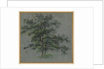 Two Trees Tree Studies, first half 1800s by Johann Jacob Dorner