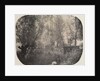 Untitled, c. 1910 by Unidentified Photographer