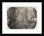 Untitled, c. 1910 by Unidentified Photographer