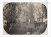 Untitled, c. 1910 by Unidentified Photographer