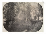 Untitled, c. 1910 by Unidentified Photographer