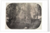 Untitled, c. 1910 by Unidentified Photographer