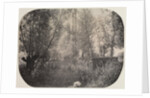 Untitled, c. 1910 by Unidentified Photographer