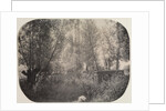 Untitled, c. 1910 by Unidentified Photographer