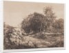 Untitled, c. 1853 by André Giroux
