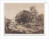 Untitled, c. 1853 by André Giroux