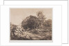 Untitled, c. 1853 by André Giroux