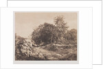 Untitled, c. 1853 by André Giroux