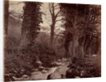Untitled, c. 1859 by John Lloyd