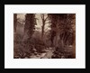 Untitled, c. 1859 by John Lloyd