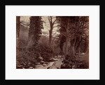 Untitled, c. 1859 by John Lloyd