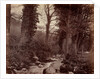 Untitled, c. 1859 by John Lloyd
