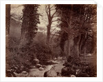 Untitled, c. 1859 by John Lloyd