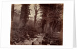 Untitled, c. 1859 by John Lloyd