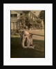 Untitled, c. 1915 by Unidentified Photographer