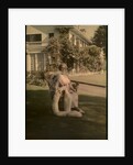 Untitled, c. 1915 by Unidentified Photographer