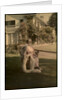 Untitled, c. 1915 by Unidentified Photographer