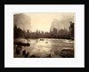 Valley of the Yosemite, from Rocky Ford, 1872 by Eadweard J. Muybridge; Bradley & Rulofson