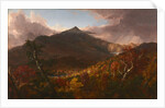 View of Schroon Mountain, Essex County, New York, After a Storm, 1838 by Thomas Cole