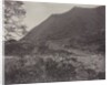 View of the Great Wall, China, c. 1871 by John Thomson