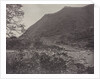 View of the Great Wall, China, c. 1871 by John Thomson