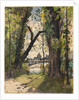 View of the Institut de France from the Foot of the Pont Royal, 1870 by Henri Joseph Harpignies
