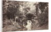 View of the Small Grotto toward the Deer Pond, Bois de Boulogne, 1858 by Charles Marville