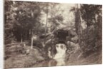View of the Small Grotto toward the Deer Pond, Bois de Boulogne, 1858 by Charles Marville