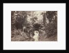 View of the Small Grotto toward the Deer Pond, Bois de Boulogne, 1858 by Charles Marville