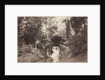 View of the Small Grotto toward the Deer Pond, Bois de Boulogne, 1858 by Charles Marville