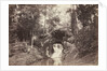 View of the Small Grotto toward the Deer Pond, Bois de Boulogne, 1858 by Charles Marville