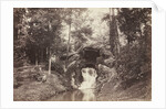 View of the Small Grotto toward the Deer Pond, Bois de Boulogne, 1858 by Charles Marville