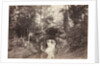 View of the Small Grotto toward the Deer Pond, Bois de Boulogne, 1858 by Charles Marville