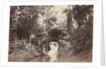 View of the Small Grotto toward the Deer Pond, Bois de Boulogne, 1858 by Charles Marville