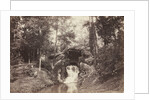 View of the Small Grotto toward the Deer Pond, Bois de Boulogne, 1858 by Charles Marville