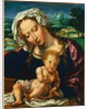 Virgin and Child in a Landscape, 1531 by Jan Gossaert; Anonymous Landscape Painter