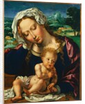 Virgin and Child in a Landscape, 1531 by Jan Gossaert; Anonymous Landscape Painter