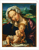 Virgin and Child in a Landscape, 1531 by Jan Gossaert; Anonymous Landscape Painter