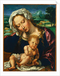 Virgin and Child in a Landscape, 1531 by Jan Gossaert; Anonymous Landscape Painter