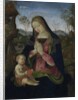 Virgin and Child, c. 1490-1500 by Pintoricchio