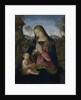 Virgin and Child, c. 1490-1500 by Pintoricchio