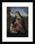 Virgin and Child, c. 1490-1500 by Pintoricchio