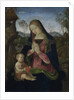Virgin and Child, c. 1490-1500 by Pintoricchio